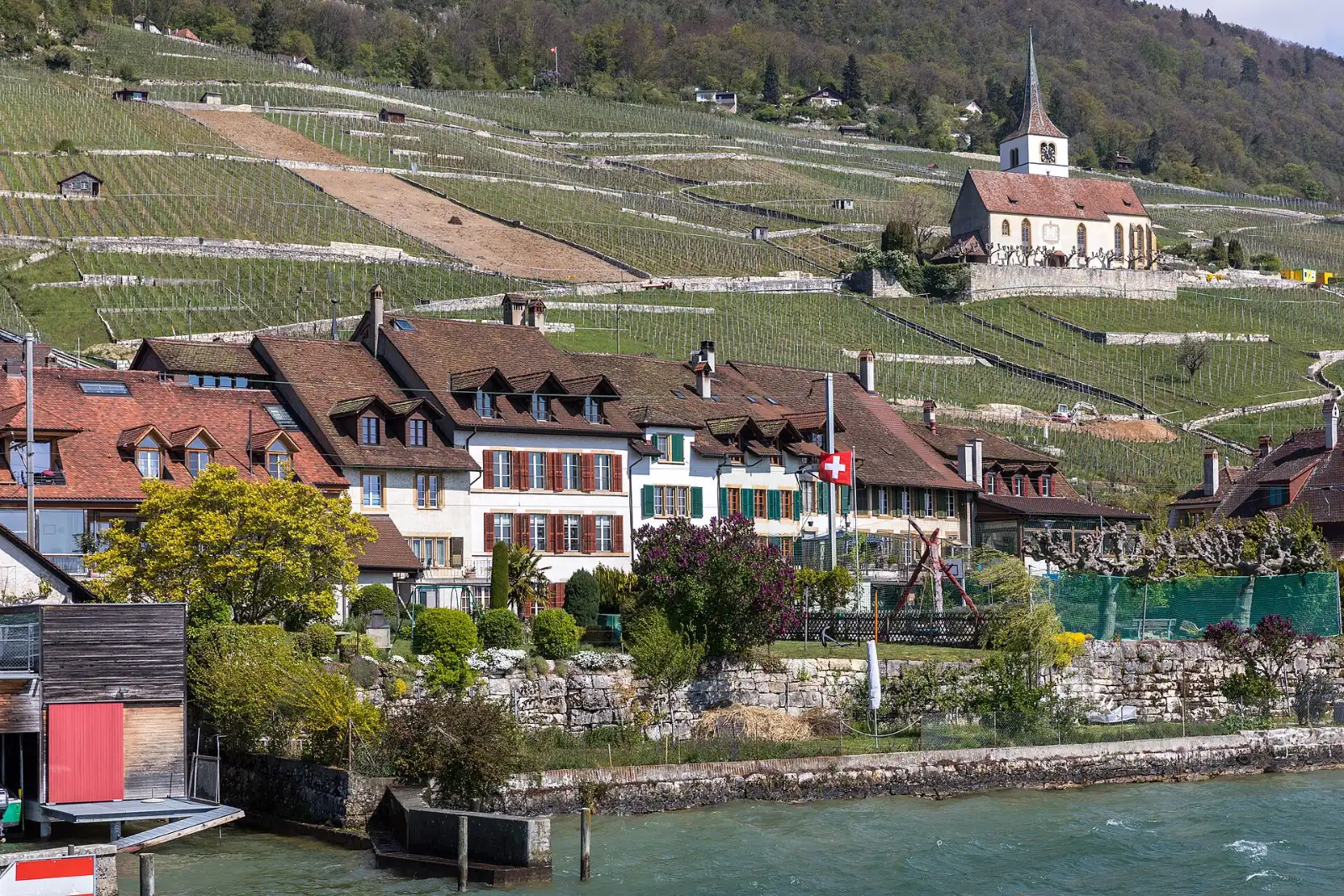 Ligerz am Bielersee mit Kirche und Rebbergen