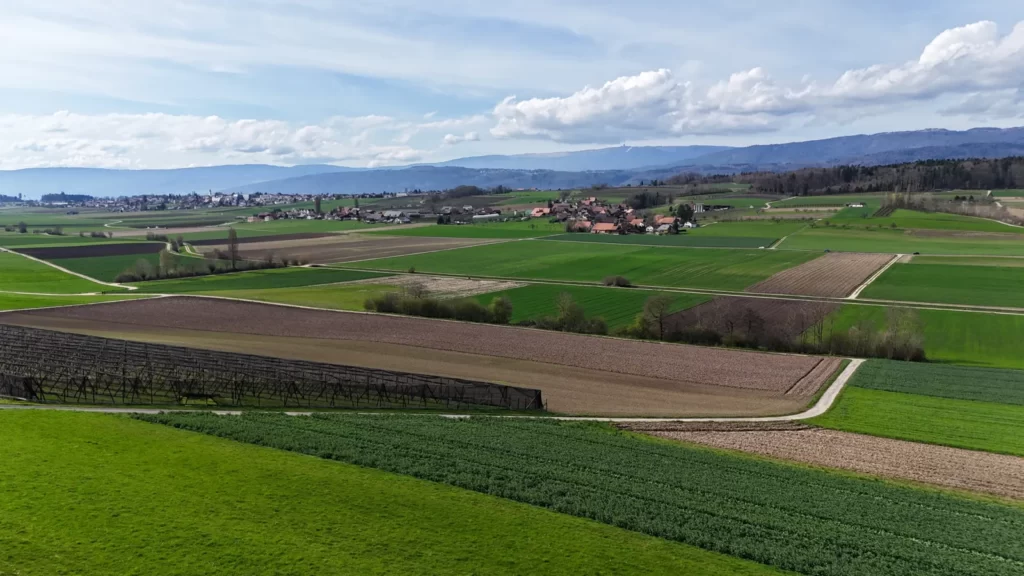 Immobilienmarkt im Berner Seeland: Aussicht von Walperswil über Felder und Dörfer bis zum Jura