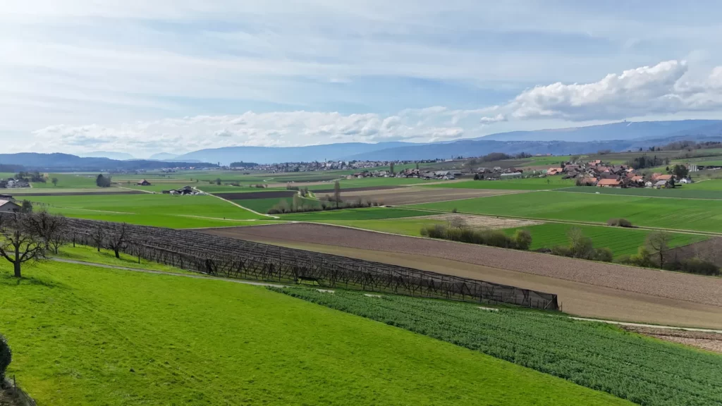 Immobilienmakler im Berner Seeland: Felder bei Walperswil mit Blick über das Seeland bis zum Jura